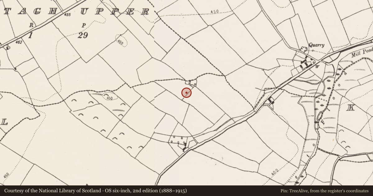 Ordnance Survey six-inch map, 2nd edition (1888–1915) covering the location of Enclosure, Tubbrid Lower, County Kilkenny, with a pin at the register's coordinates