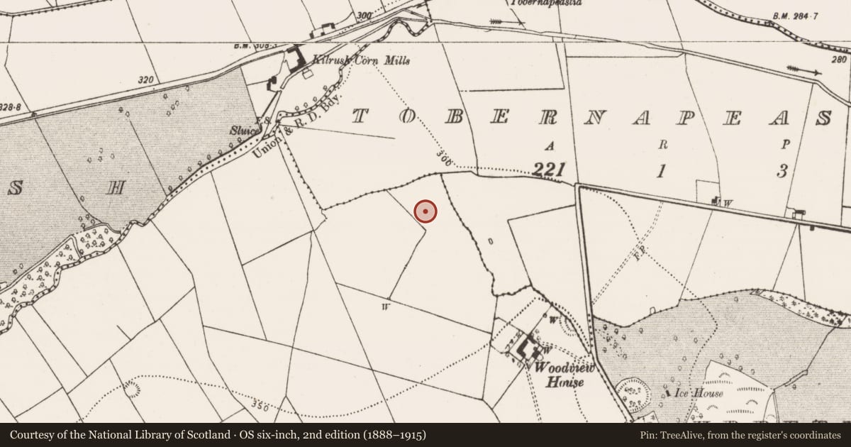 Ordnance Survey six-inch map, 2nd edition (1888–1915) covering the location of Enclosure, Ballylarkin Lower, County Kilkenny, with a pin at the register's coordinates