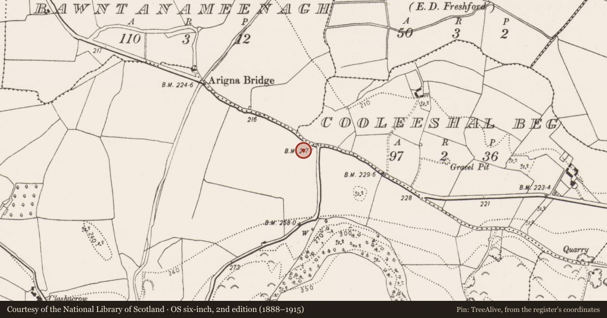 Ordnance Survey six-inch map, 2nd edition (1888–1915) covering the location of Ring-ditch, Clashacrow, County Kilkenny, with a pin at the register's coordinates