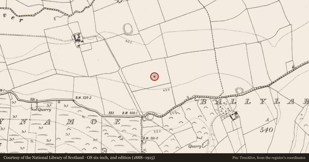 Ordnance Survey six-inch map, 2nd edition (1888–1915) covering the location of Enclosure, Kyleballynamoe, County Kilkenny, with a pin at the register's coordinates