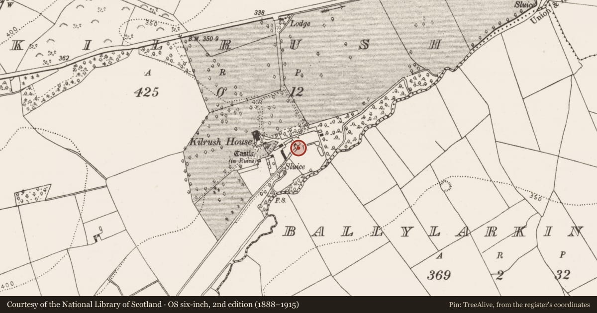 Ordnance Survey six-inch map, 2nd edition (1888–1915) covering the location of Building, Kilrush, County Kilkenny, with a pin at the register's coordinates