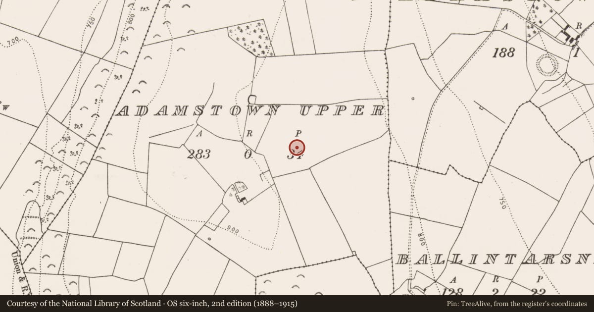 Ordnance Survey six-inch map, 2nd edition (1888–1915) covering the location of Enclosure, Adamstown Upper, County Kilkenny, with a pin at the register's coordinates