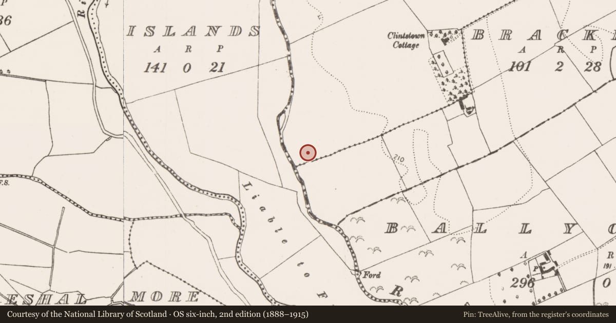 Ordnance Survey six-inch map, 2nd edition (1888–1915) covering the location of Church, Clintstown, County Kilkenny, with a pin at the register's coordinates