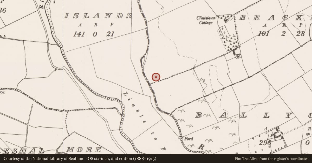Ordnance Survey six-inch map, 2nd edition (1888–1915) covering the location of Graveyard, Clintstown, County Kilkenny, with a pin at the register's coordinates