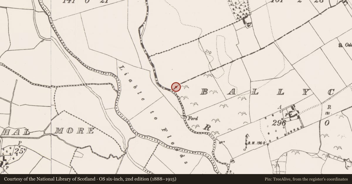 Ordnance Survey six-inch map, 2nd edition (1888–1915) covering the location of Mill - unclassified, Brackin, County Kilkenny, with a pin at the register's coordinates