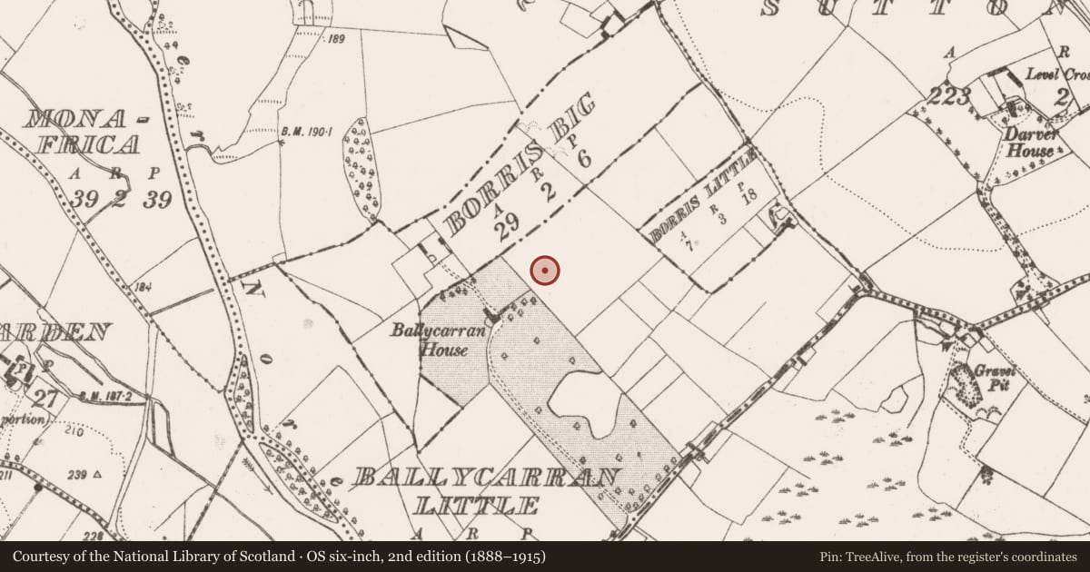 Ordnance Survey six-inch map, 2nd edition (1888–1915) covering the location of Enclosure, Ballycarran Little, County Kilkenny, with a pin at the register's coordinates