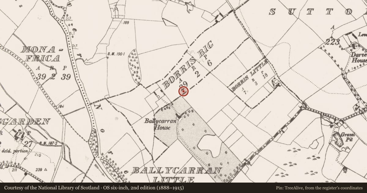 Ordnance Survey six-inch map, 2nd edition (1888–1915) covering the location of Ring-ditch, Borris Big, County Kilkenny, with a pin at the register's coordinates