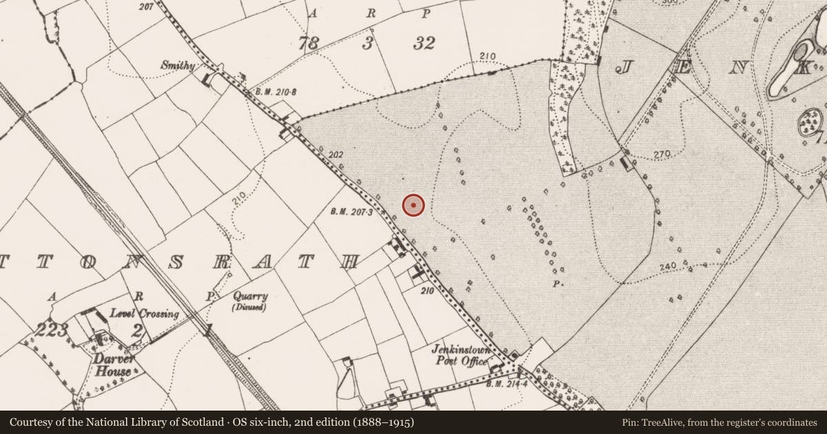 Ordnance Survey six-inch map, 2nd edition (1888–1915) covering the location of Ring-ditch, Jenkinstown, County Kilkenny, with a pin at the register's coordinates