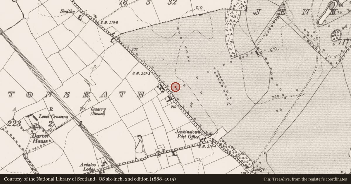 Ordnance Survey six-inch map, 2nd edition (1888–1915) covering the location of Ring-ditch, Jenkinstown, County Kilkenny, with a pin at the register's coordinates