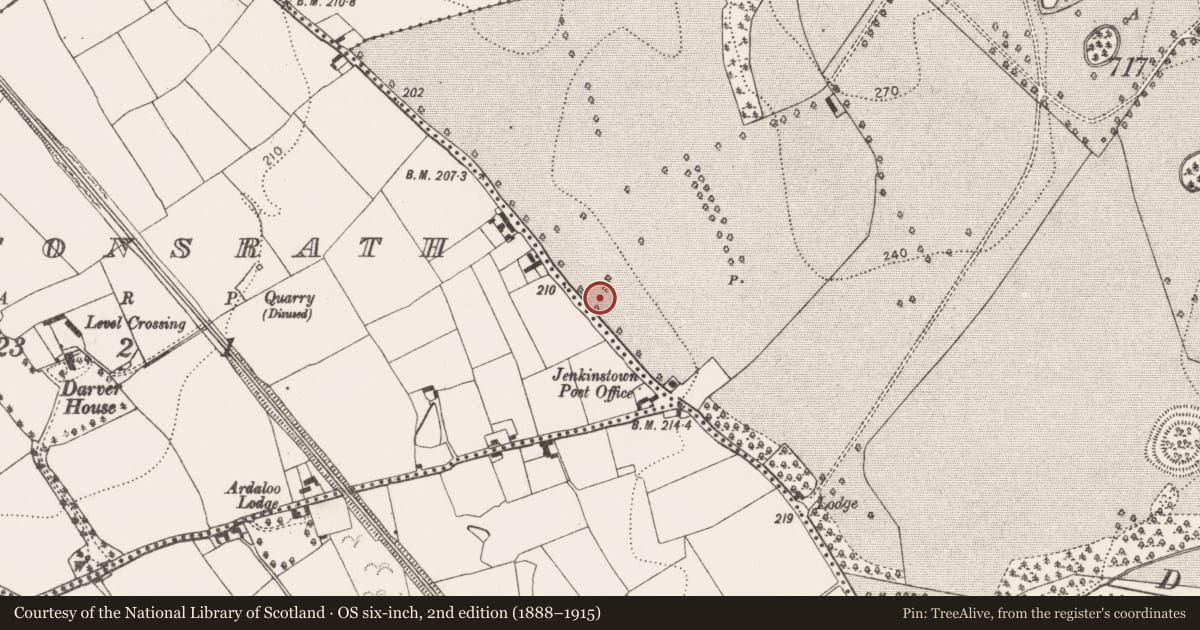 Ordnance Survey six-inch map, 2nd edition (1888–1915) covering the location of Ring-ditch, Jenkinstown, County Kilkenny, with a pin at the register's coordinates