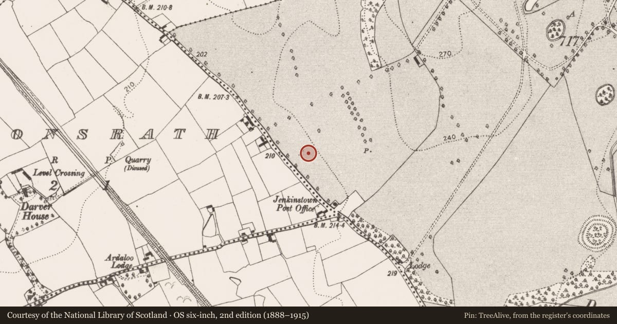 Ordnance Survey six-inch map, 2nd edition (1888–1915) covering the location of Ring-ditch, Jenkinstown, County Kilkenny, with a pin at the register's coordinates