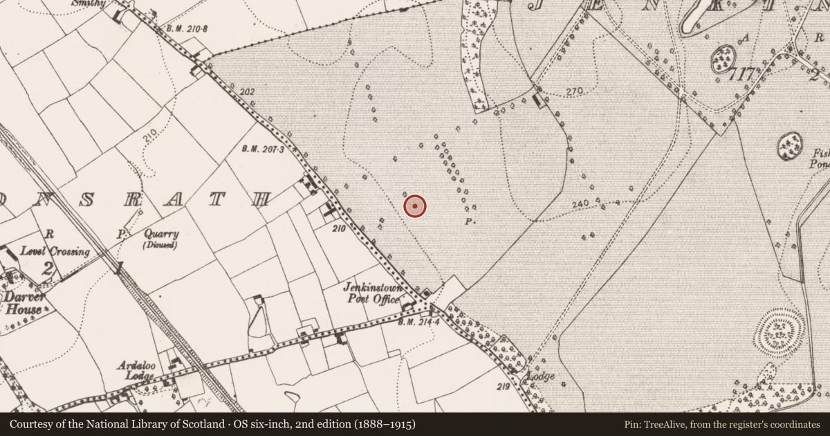 Ordnance Survey six-inch map, 2nd edition (1888–1915) covering the location of Ring-ditch, Jenkinstown, County Kilkenny, with a pin at the register's coordinates