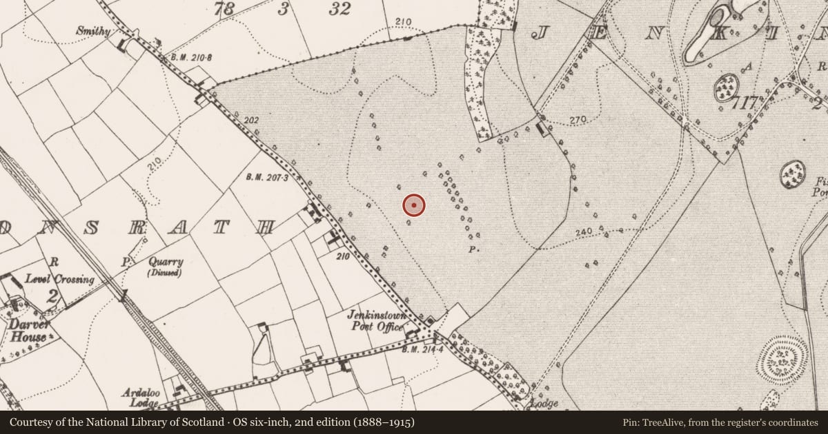 Ordnance Survey six-inch map, 2nd edition (1888–1915) covering the location of Ring-ditch, Jenkinstown, County Kilkenny, with a pin at the register's coordinates