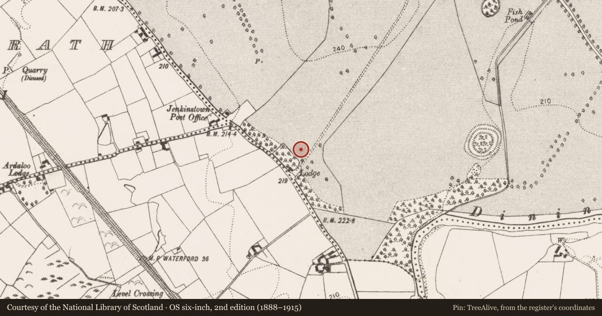 Ordnance Survey six-inch map, 2nd edition (1888–1915) covering the location of Ring-ditch, Jenkinstown, County Kilkenny, with a pin at the register's coordinates