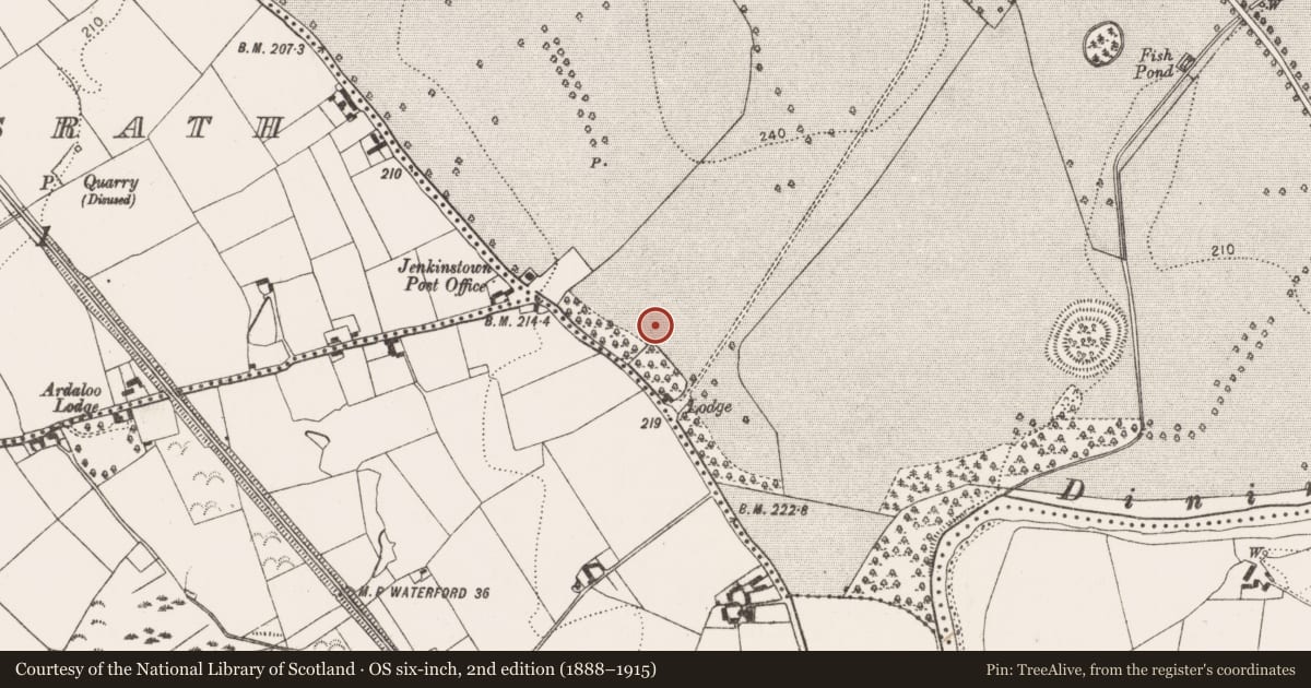Ordnance Survey six-inch map, 2nd edition (1888–1915) covering the location of Ring-ditch, Jenkinstown, County Kilkenny, with a pin at the register's coordinates