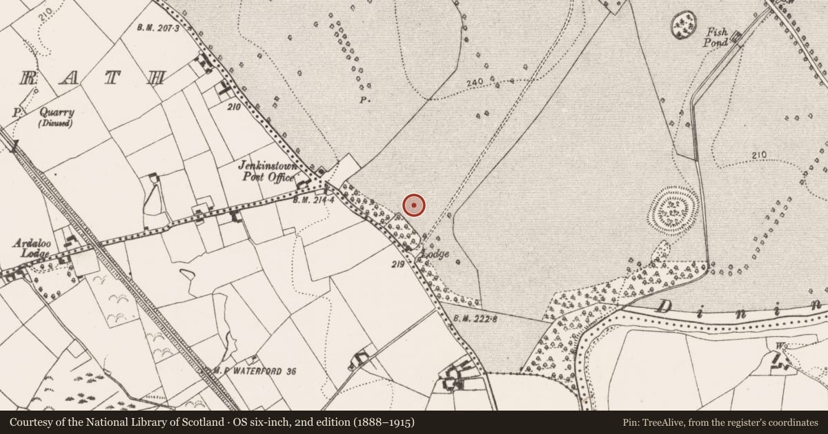 Ordnance Survey six-inch map, 2nd edition (1888–1915) covering the location of Ring-ditch, Jenkinstown, County Kilkenny, with a pin at the register's coordinates