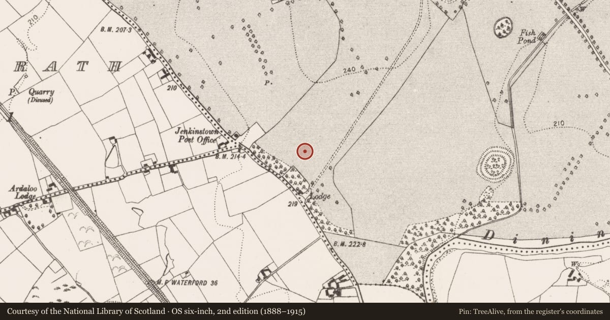 Ordnance Survey six-inch map, 2nd edition (1888–1915) covering the location of Ring-ditch, Jenkinstown, County Kilkenny, with a pin at the register's coordinates