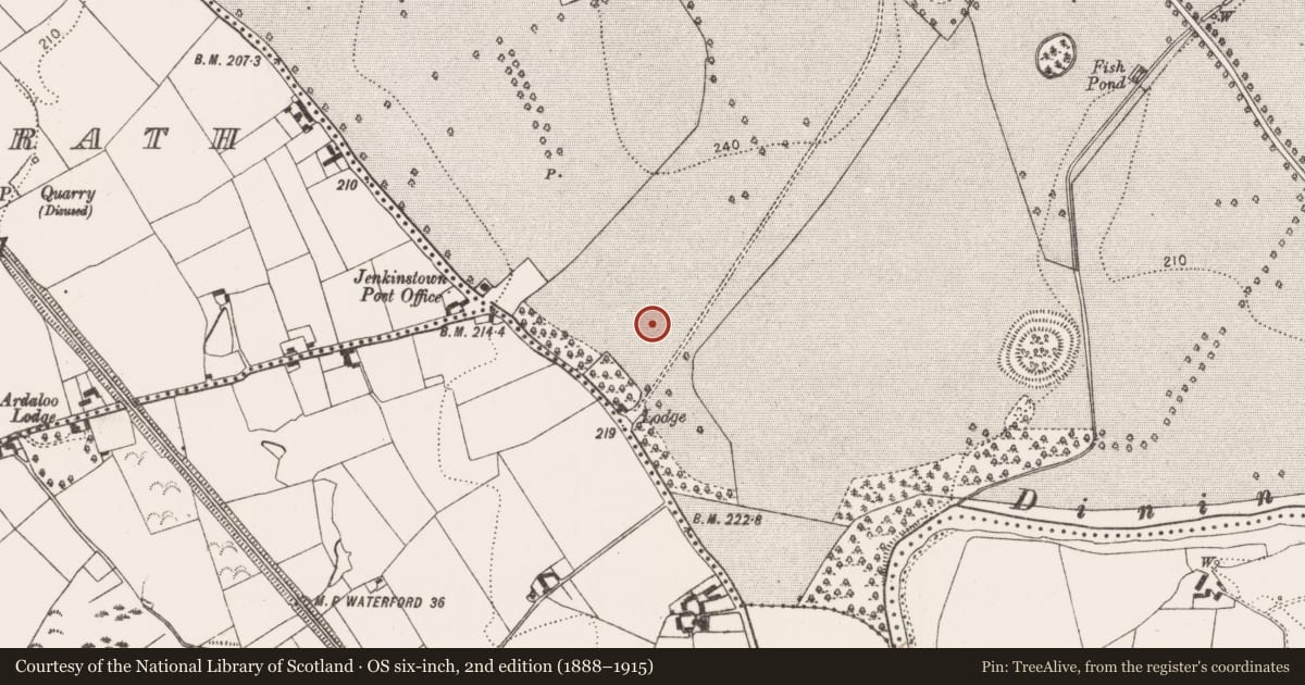 Ordnance Survey six-inch map, 2nd edition (1888–1915) covering the location of Ring-ditch, Jenkinstown, County Kilkenny, with a pin at the register's coordinates
