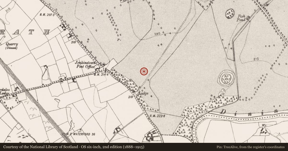 Ordnance Survey six-inch map, 2nd edition (1888–1915) covering the location of Ring-ditch, Jenkinstown, County Kilkenny, with a pin at the register's coordinates