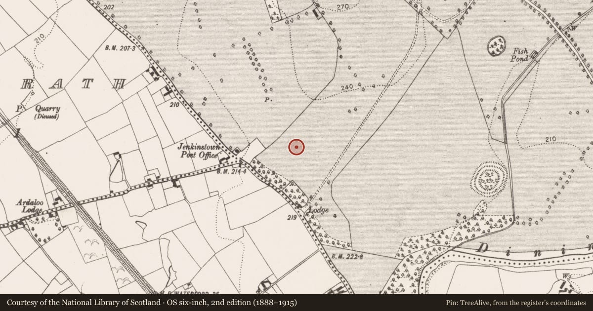 Ordnance Survey six-inch map, 2nd edition (1888–1915) covering the location of Ring-ditch, Jenkinstown, County Kilkenny, with a pin at the register's coordinates