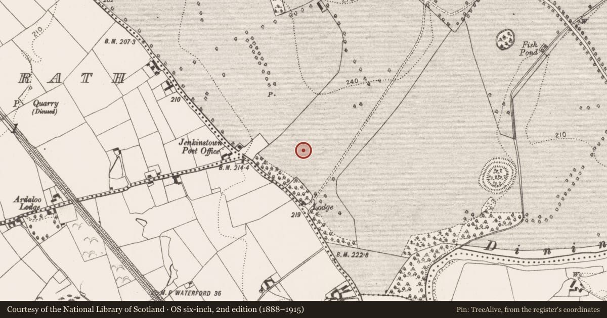 Ordnance Survey six-inch map, 2nd edition (1888–1915) covering the location of Field boundary, Jenkinstown, County Kilkenny, with a pin at the register's coordinates