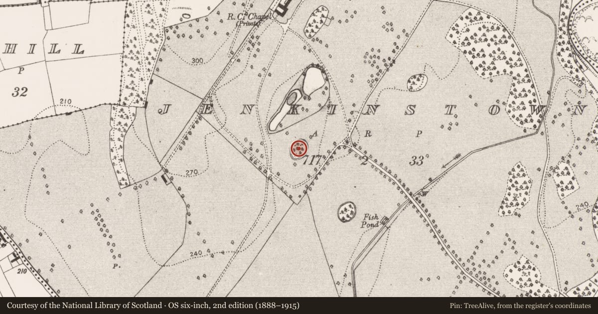 Ordnance Survey six-inch map, 2nd edition (1888–1915) covering the location of Designed landscape - tree-ring, Jenkinstown, County Kilkenny, with a pin at the register's coordinates