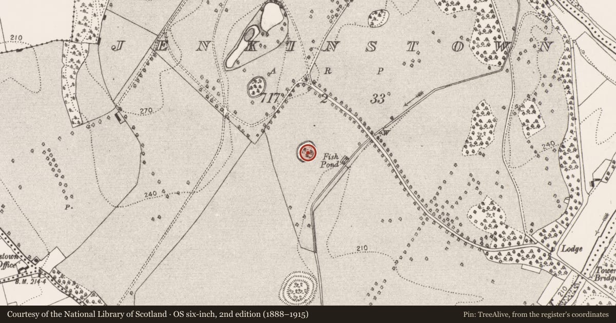 Ordnance Survey six-inch map, 2nd edition (1888–1915) covering the location of Designed landscape - tree-ring, Jenkinstown, County Kilkenny, with a pin at the register's coordinates