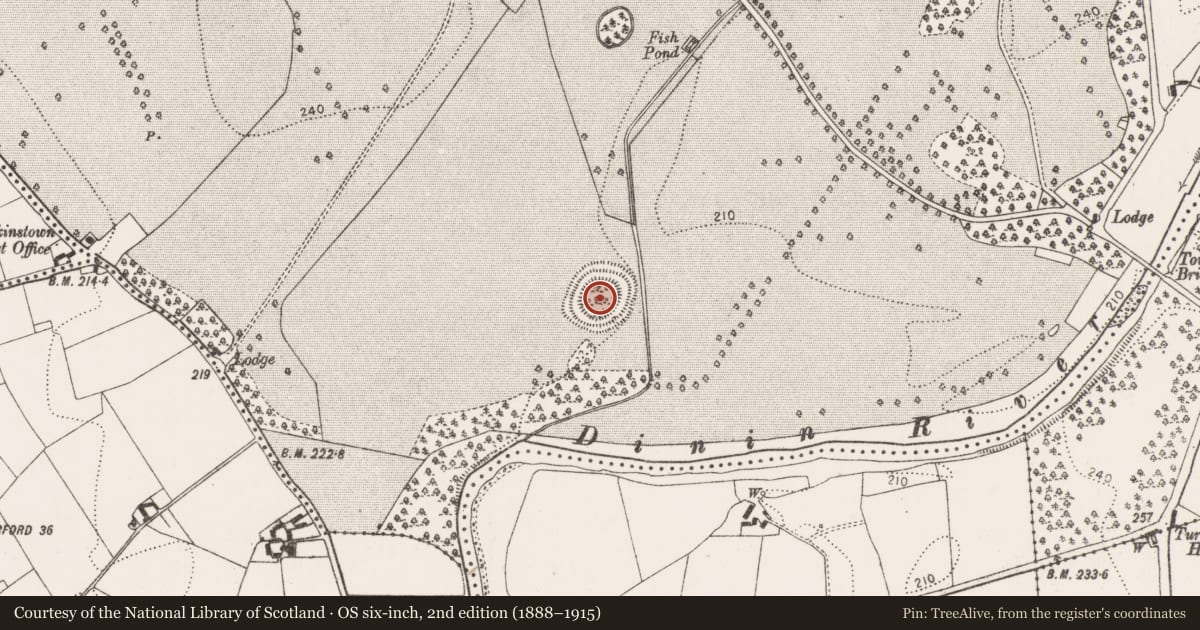 Ordnance Survey six-inch map, 2nd edition (1888–1915) covering the location of Ringfort - rath, Jenkinstown, County Kilkenny, with a pin at the register's coordinates