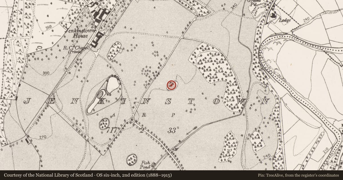 Ordnance Survey six-inch map, 2nd edition (1888–1915) covering the location of Designed landscape - tree-ring, Jenkinstown, County Kilkenny, with a pin at the register's coordinates