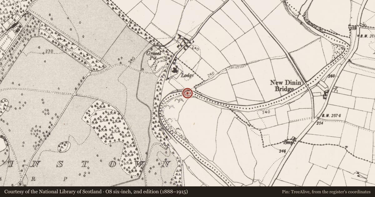 Ordnance Survey six-inch map, 2nd edition (1888–1915) covering the location of Bridge, Ballyrafton, County Kilkenny, with a pin at the register's coordinates