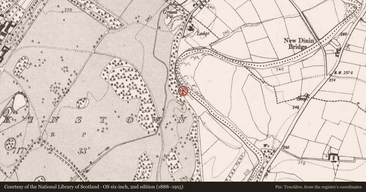 Ordnance Survey six-inch map, 2nd edition (1888–1915) covering the location of Graveyard, Jenkinstown, County Kilkenny, with a pin at the register's coordinates