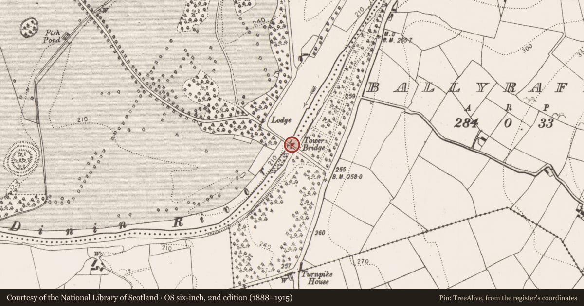 Ordnance Survey six-inch map, 2nd edition (1888–1915) covering the location of Bridge, Ballyrafton, Jenkinstown, County Kilkenny, with a pin at the register's coordinates