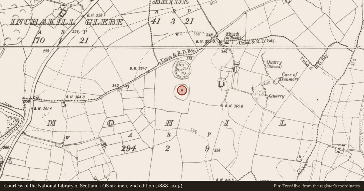 Ordnance Survey six-inch map, 2nd edition (1888–1915) covering the location of Ringfort - rath, Mohil, County Kilkenny, with a pin at the register's coordinates