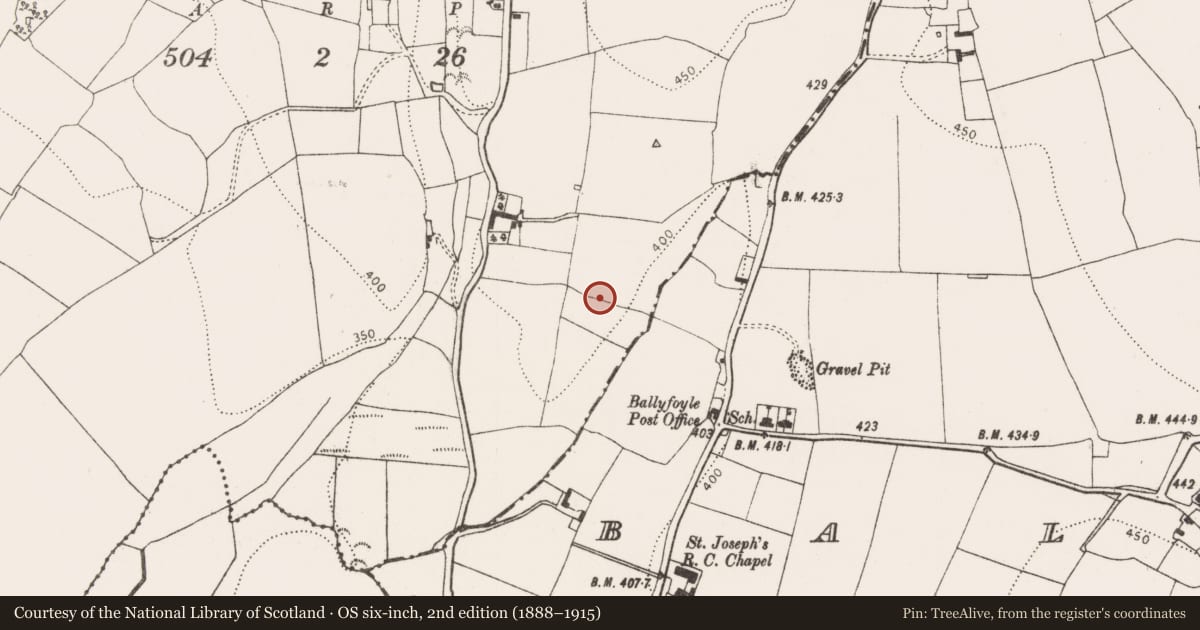 Ordnance Survey six-inch map, 2nd edition (1888–1915) covering the location of Enclosure, Ruthstown, County Kilkenny, with a pin at the register's coordinates