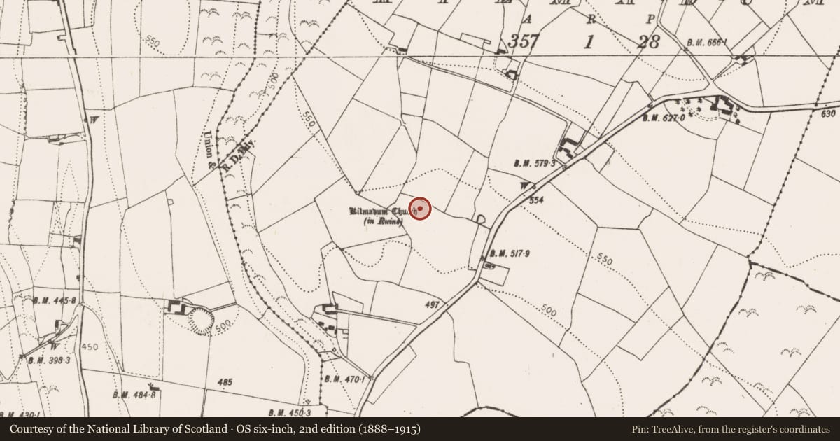 Ordnance Survey six-inch map, 2nd edition (1888–1915) covering the location of Graveyard, Kilmadum, County Kilkenny, with a pin at the register's coordinates