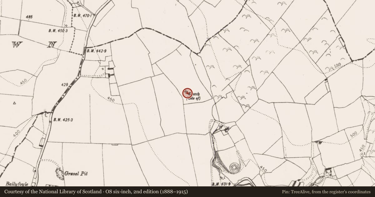 Ordnance Survey six-inch map, 2nd edition (1888–1915) covering the location of Church, Ballyfoyle, County Kilkenny, with a pin at the register's coordinates