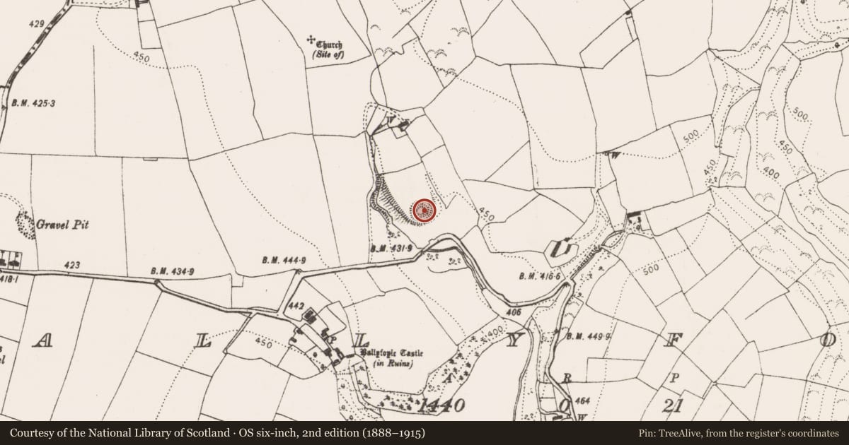 Ordnance Survey six-inch map, 2nd edition (1888–1915) covering the location of Castle - ringwork, Ballyfoyle, County Kilkenny, with a pin at the register's coordinates