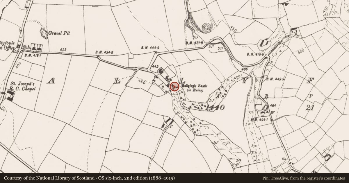 Ordnance Survey six-inch map, 2nd edition (1888–1915) covering the location of Castle - tower house, Ballyfoyle, County Kilkenny, with a pin at the register's coordinates