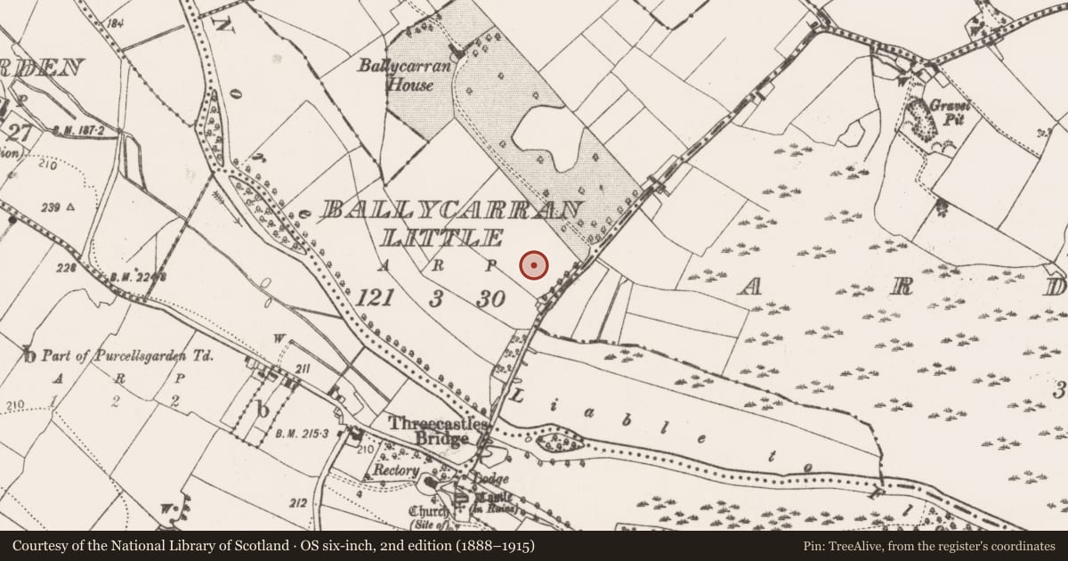Ordnance Survey six-inch map, 2nd edition (1888–1915) covering the location of Enclosure, Ballycarran Little, County Kilkenny, with a pin at the register's coordinates