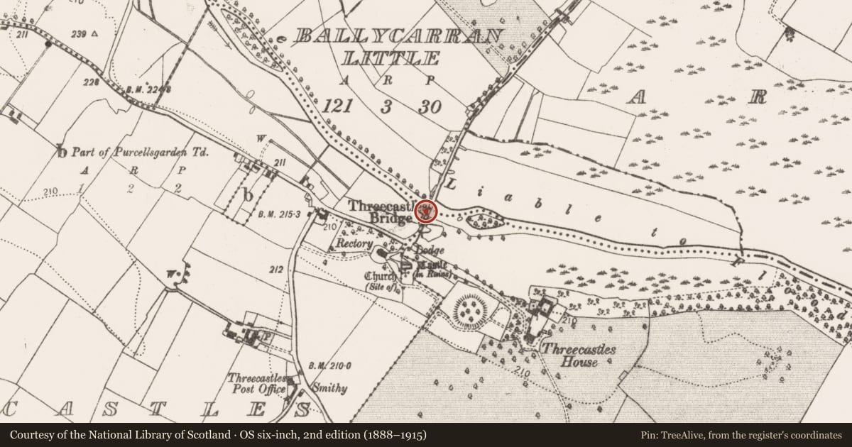 Ordnance Survey six-inch map, 2nd edition (1888–1915) covering the location of Ford, Threecastles, Threecastles Demesne, County Kilkenny, with a pin at the register's coordinates
