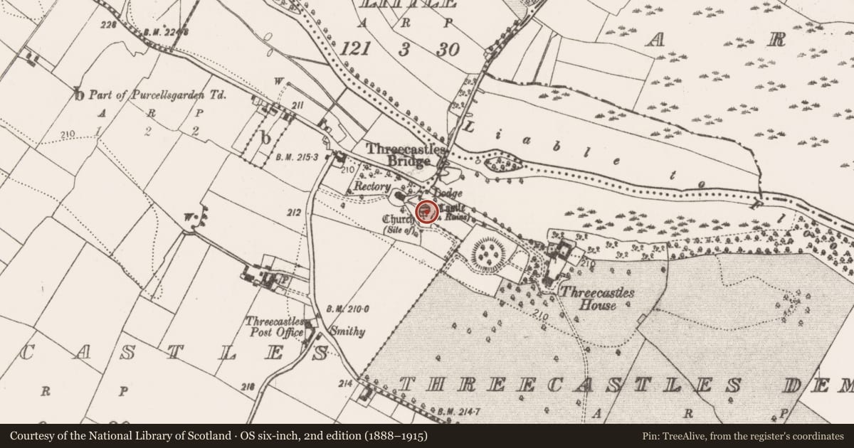 Ordnance Survey six-inch map, 2nd edition (1888–1915) covering the location of Church, Threecastles, County Kilkenny, with a pin at the register's coordinates