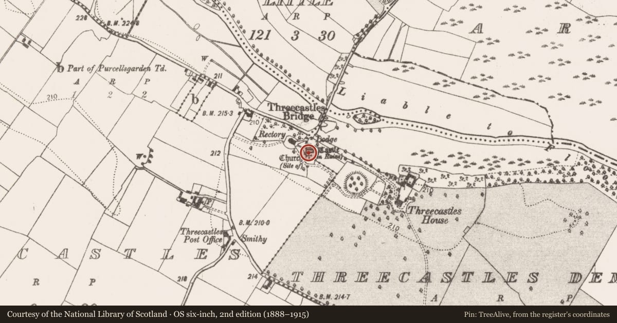 Ordnance Survey six-inch map, 2nd edition (1888–1915) covering the location of Castle - tower house, Threecastles, County Kilkenny, with a pin at the register's coordinates