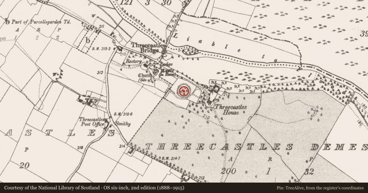 Ordnance Survey six-inch map, 2nd edition (1888–1915) covering the location of Castle - motte, Threecastles Demesne, County Kilkenny, with a pin at the register's coordinates