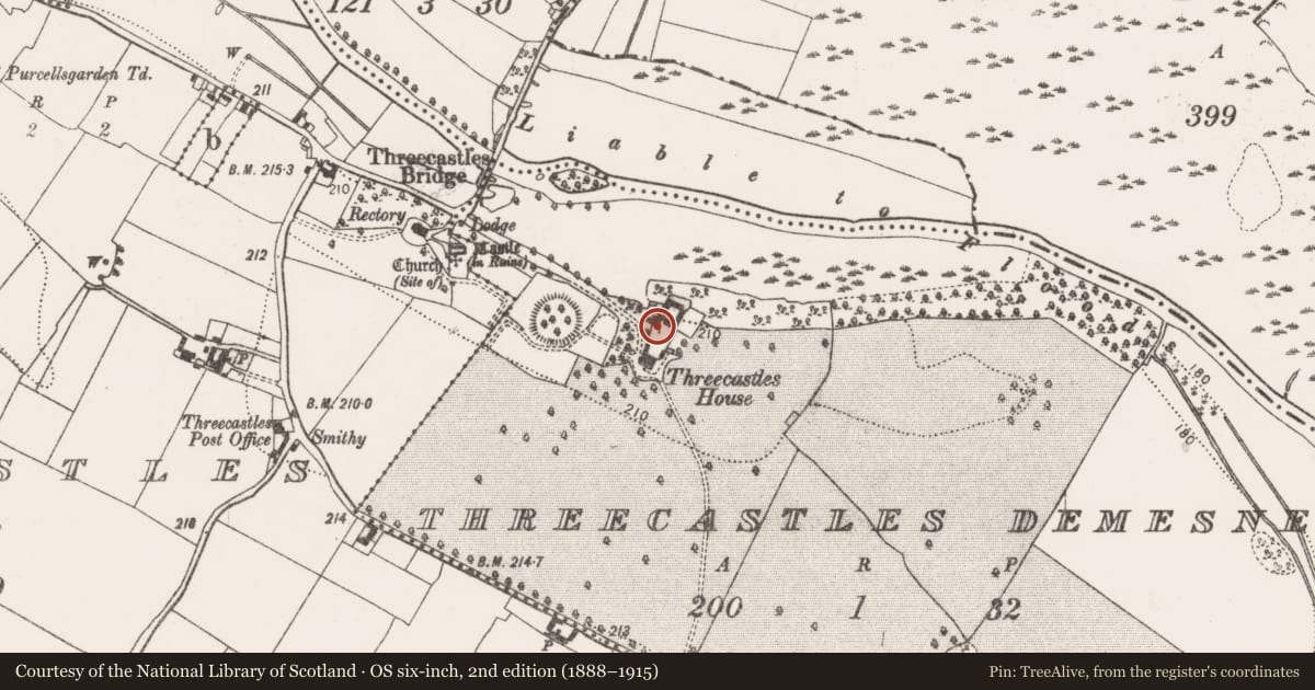 Ordnance Survey six-inch map, 2nd edition (1888–1915) covering the location of Castle - unclassified, Threecastles Demesne, County Kilkenny, with a pin at the register's coordinates