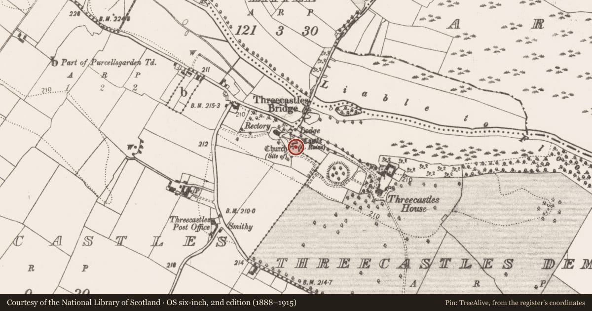 Ordnance Survey six-inch map, 2nd edition (1888–1915) covering the location of Graveyard, Threecastles, County Kilkenny, with a pin at the register's coordinates