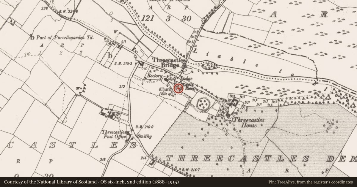 Ordnance Survey six-inch map, 2nd edition (1888–1915) covering the location of Graveslab, Threecastles, County Kilkenny, with a pin at the register's coordinates