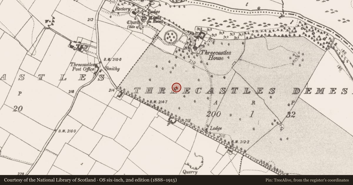 Ordnance Survey six-inch map, 2nd edition (1888–1915) covering the location of Barrow - unclassified, Threecastles Demesne, County Kilkenny, with a pin at the register's coordinates