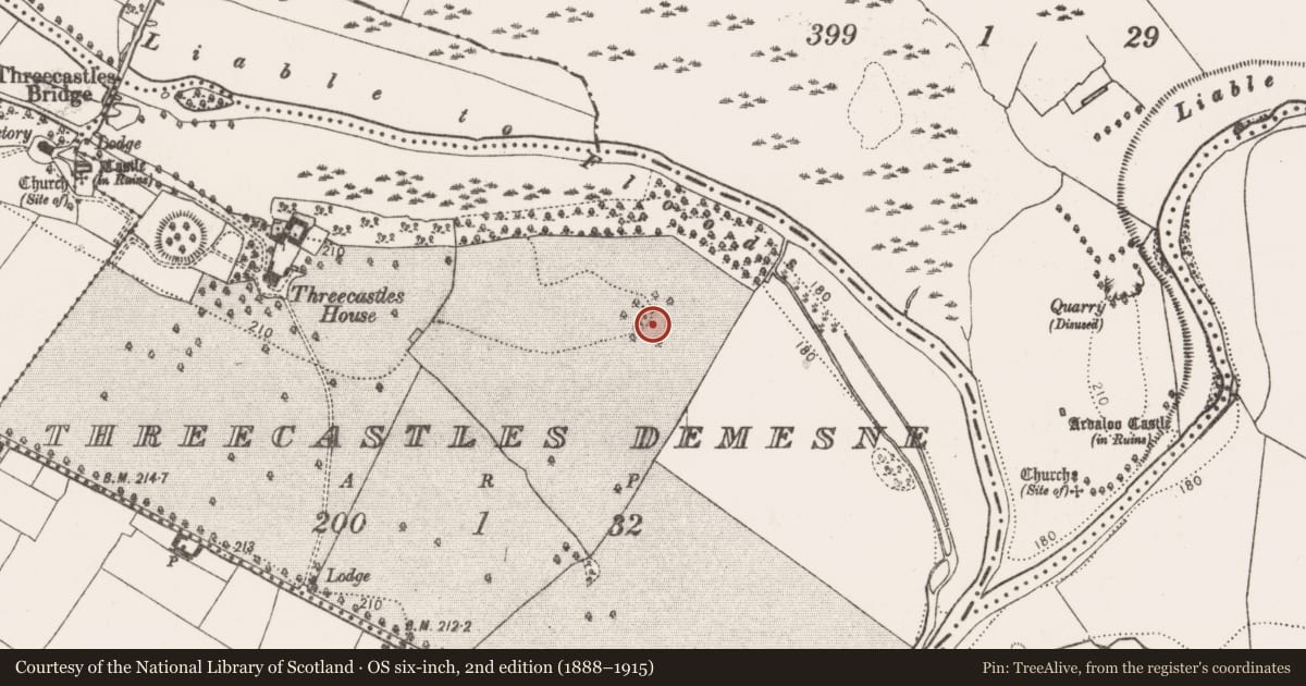 Ordnance Survey six-inch map, 2nd edition (1888–1915) covering the location of Designed landscape - tree-ring, Threecastles Demesne, County Kilkenny, with a pin at the register's coordinates