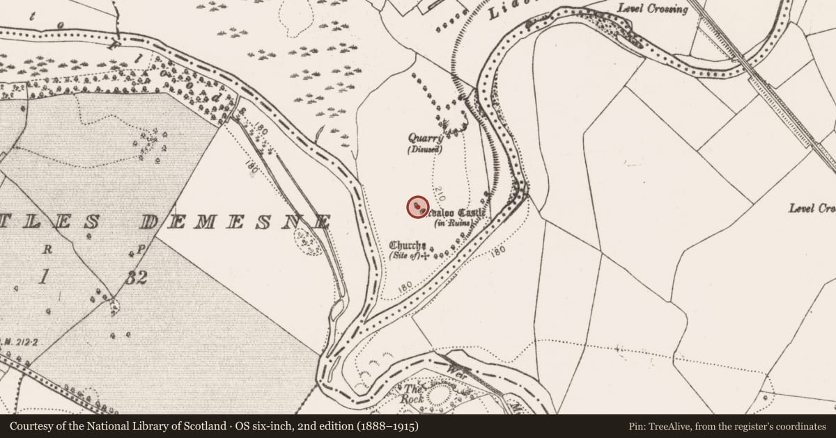 Ordnance Survey six-inch map, 2nd edition (1888–1915) covering the location of Castle - unclassified, Ardaloo, County Kilkenny, with a pin at the register's coordinates