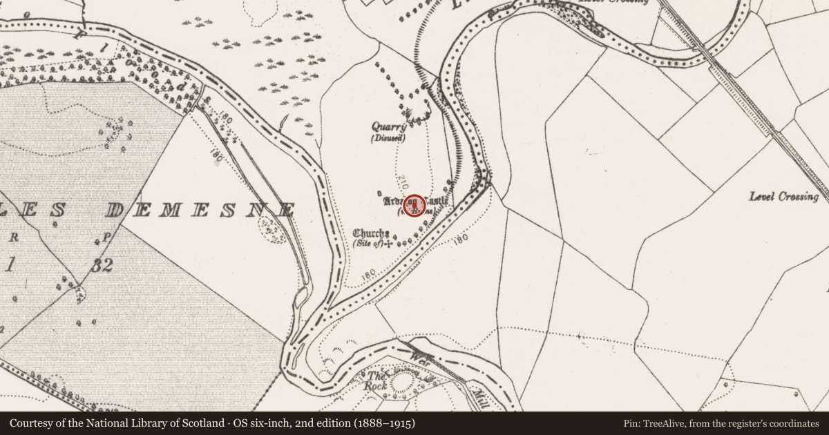 Ordnance Survey six-inch map, 2nd edition (1888–1915) covering the location of Graveyard, Ardaloo, County Kilkenny, with a pin at the register's coordinates